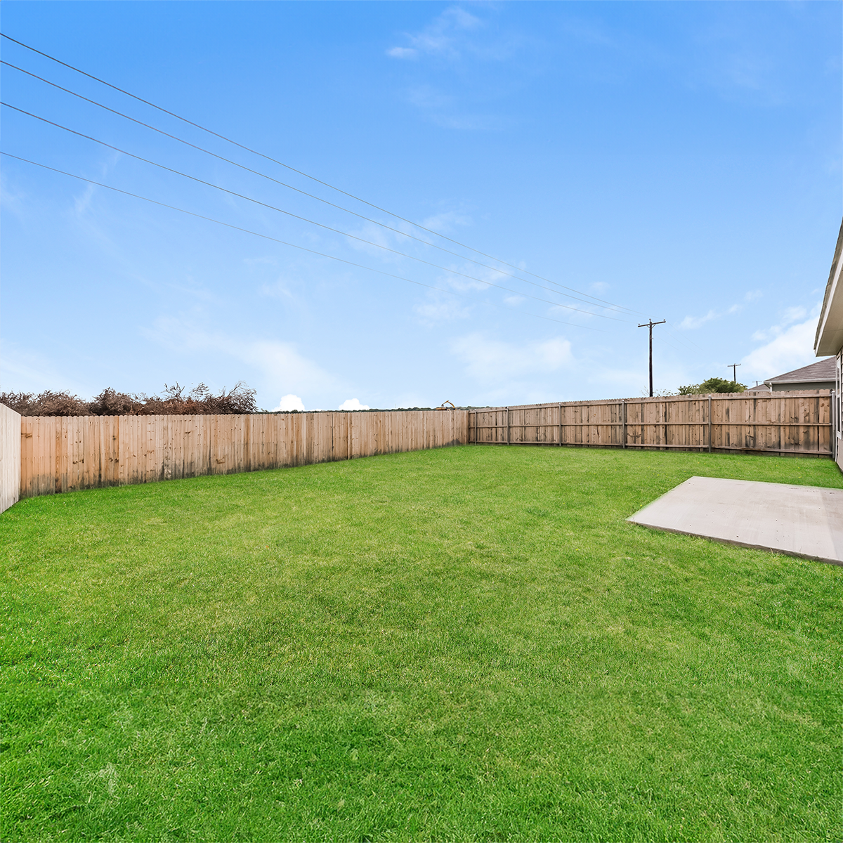 Fenced yard
