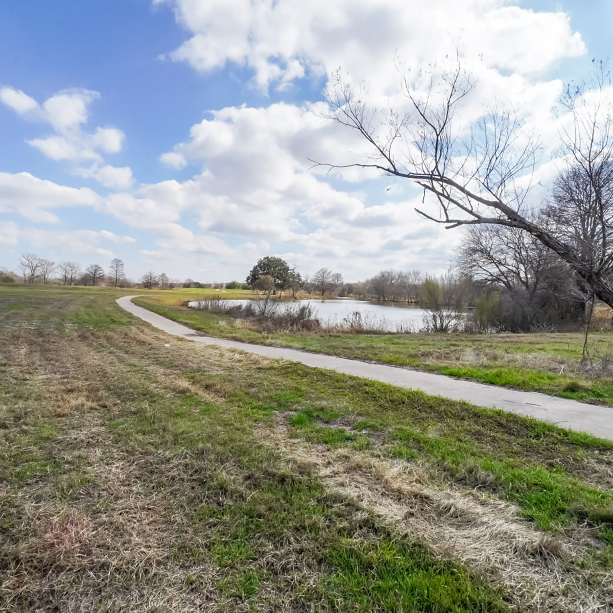 Walking trails