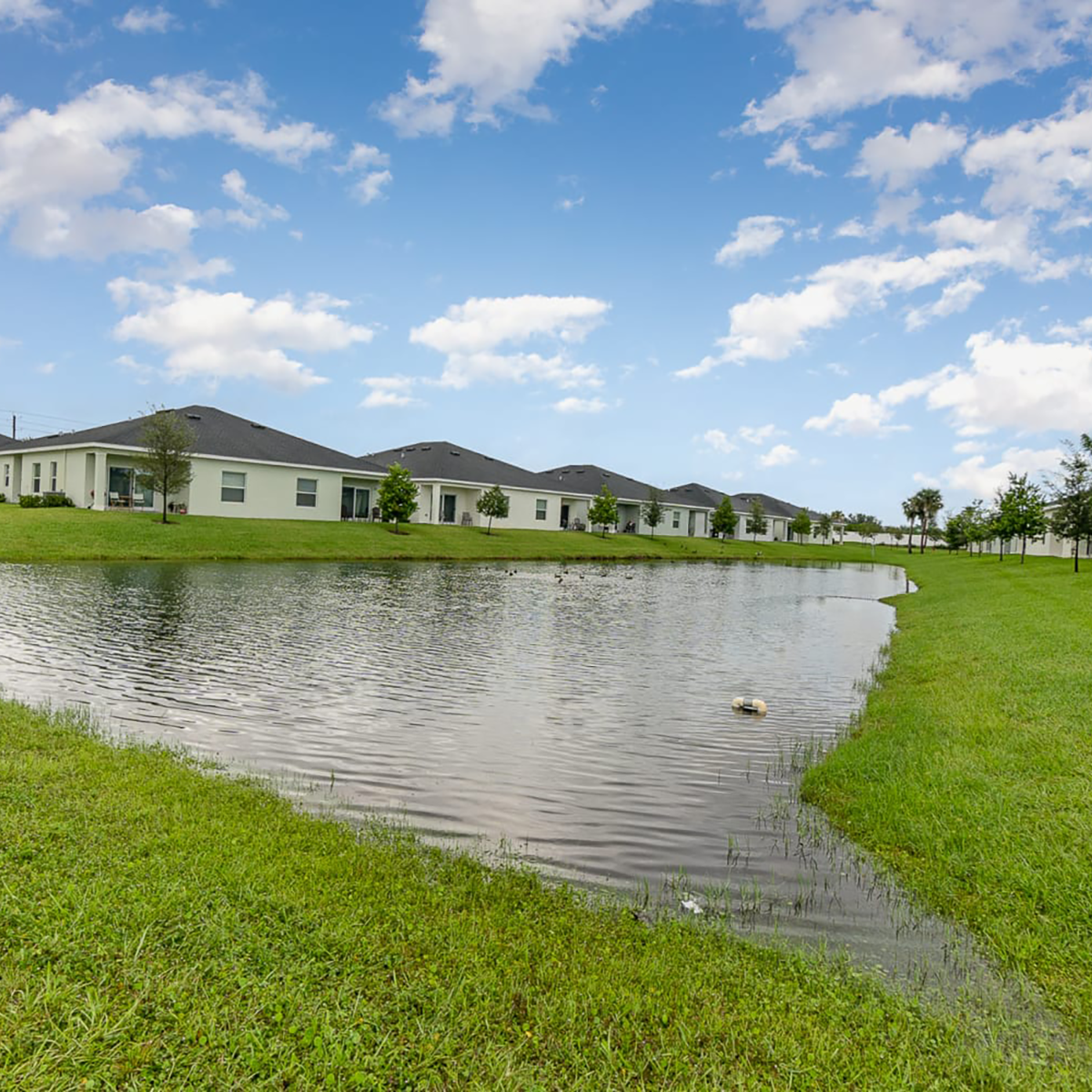 Community pond