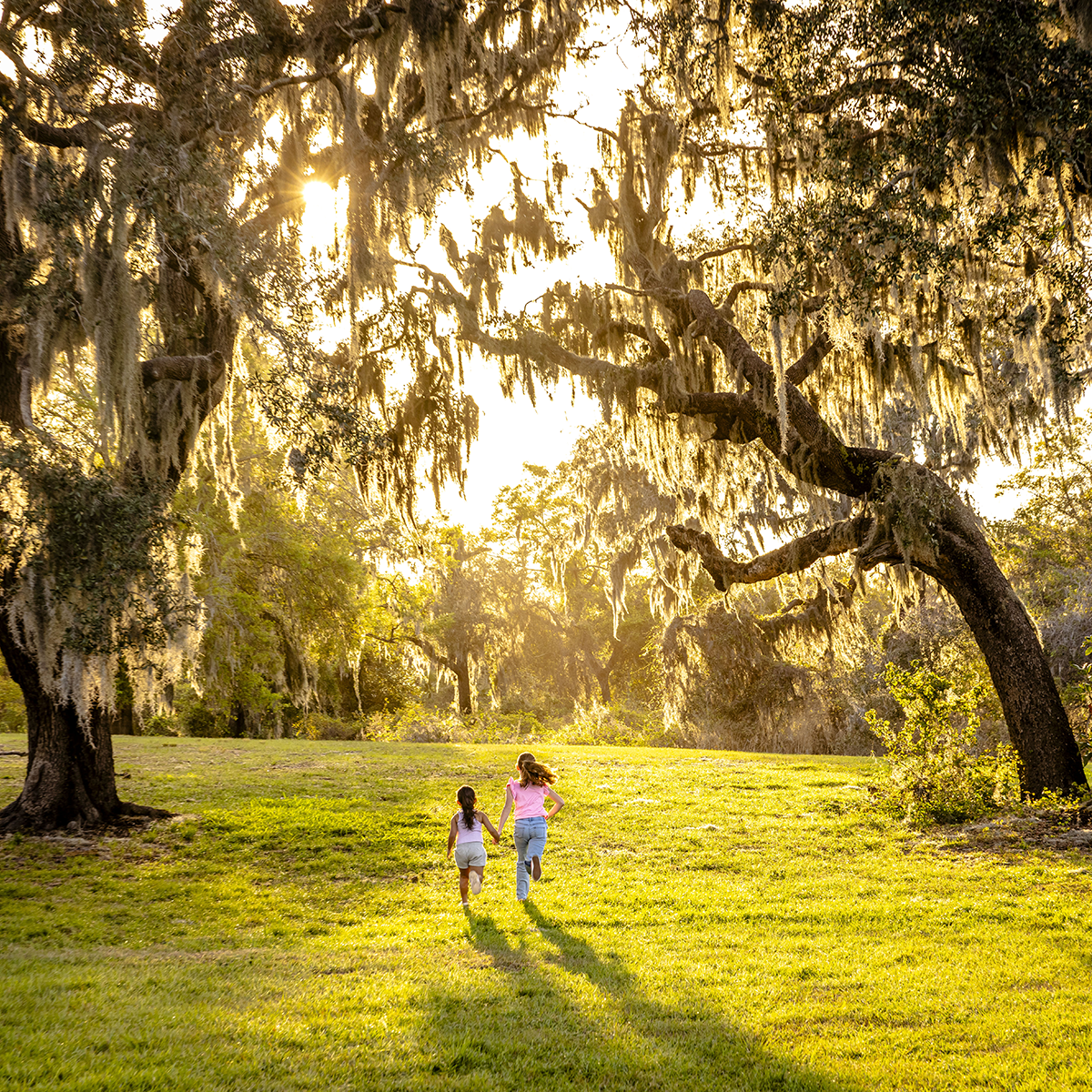 Green spaces