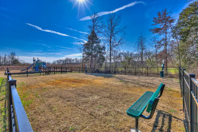 Dog park